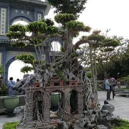 LADY BUDDHA SITE